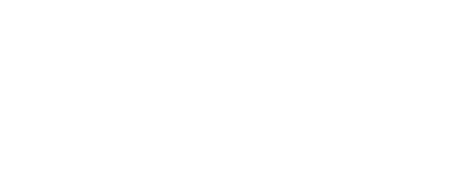 AI passport logo in white