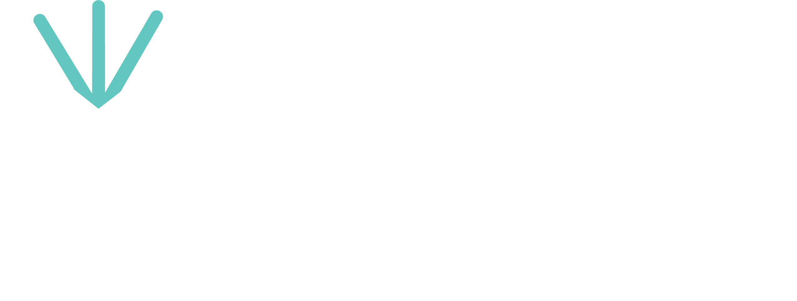 AI Passport for Health Logo White and Teal